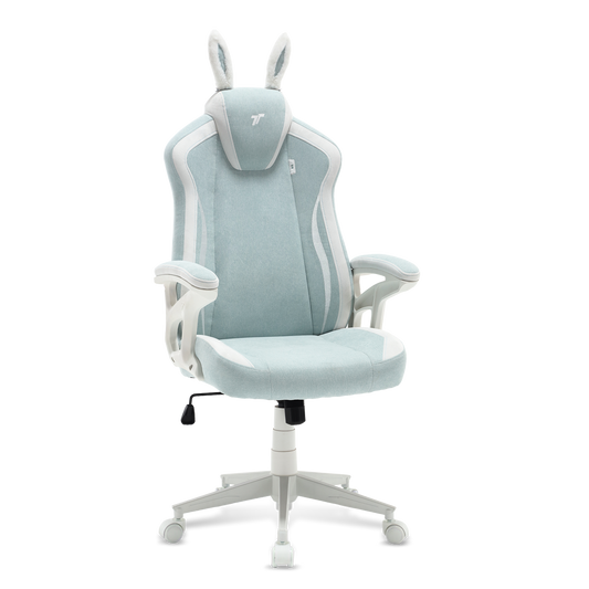 TTRacing Duo V4 Air Threads Fabric Gaming Chair - BunnyBliss
