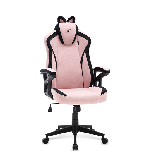 TTRacing Duo V4 Air Threads Fabric Gaming Chair - KittyPuff
